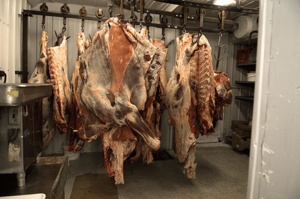 UNL Agriculture Economist To Study Meat Packing Industry