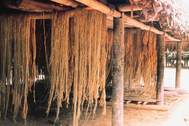Hemp Association Pushes for Industrial Development