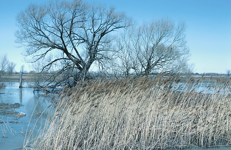 SD Legislative Task Force Learns about Buffer Strip Costs