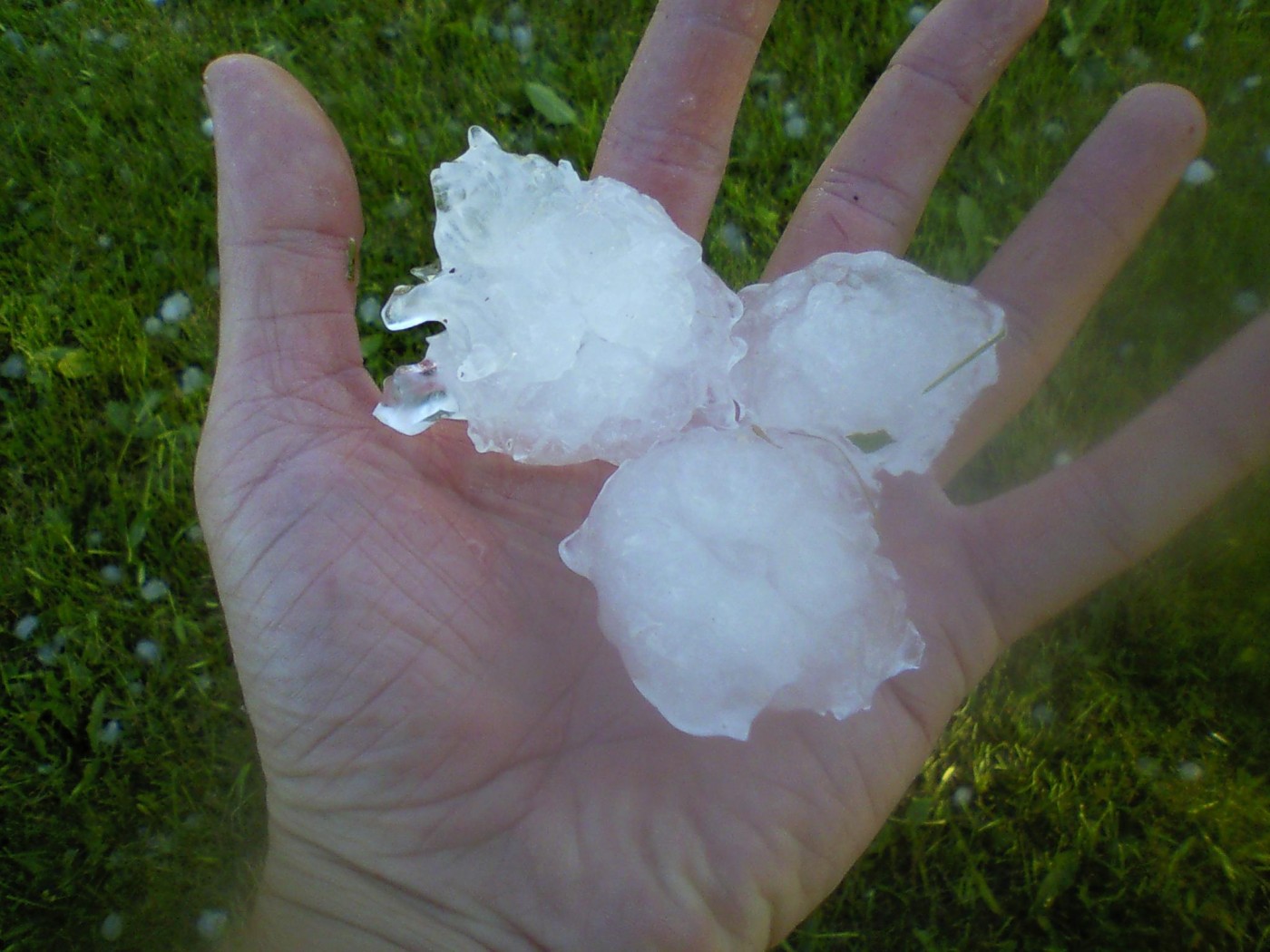 Hail And Winds Damage Corn And Soybeans In Yankton County
