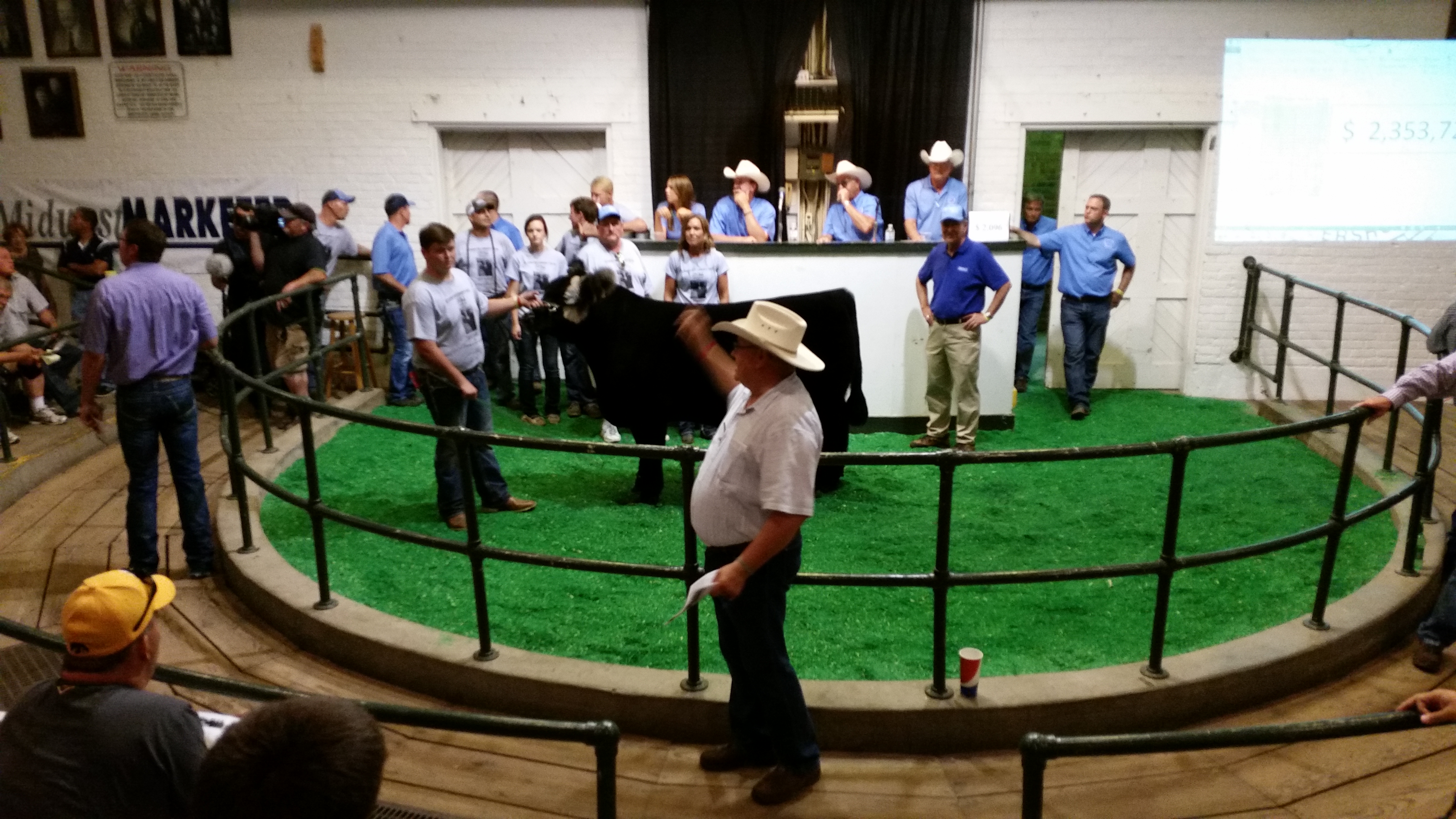 Iowa Governor’s Steer Show Hits A Record
