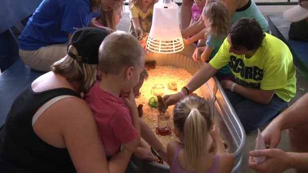 Fair Goers Check Out Discovery Barn Fair Goers Check Out Discovery Barn