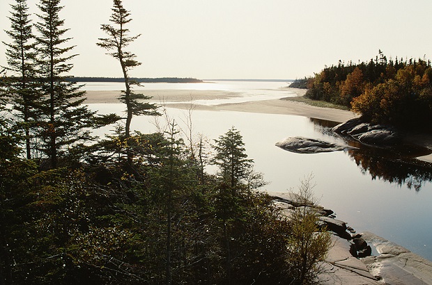 Continued Climate Smart Ag Efforts