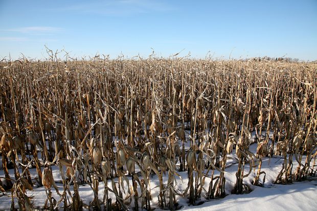 Mild & Dry Winter Causing Drought Worries