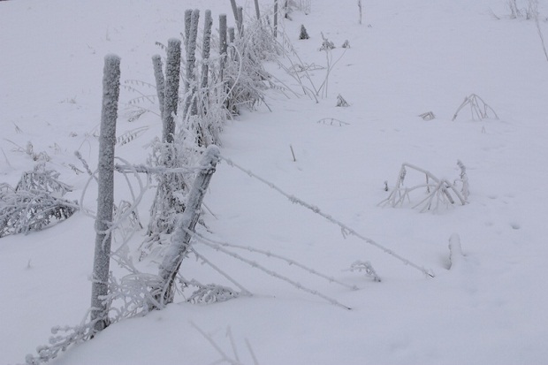 Winter Storm Looms