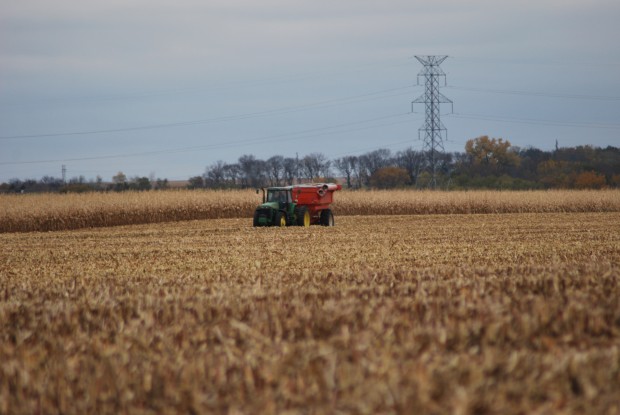CHS Official Not Surprised Farmers Locking In Fuel Needs