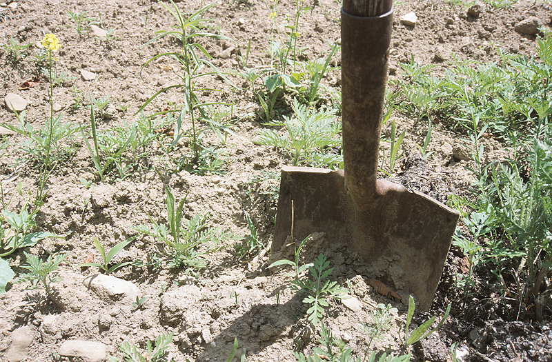 Lawsuits Involve Not Checking For Utility Lines