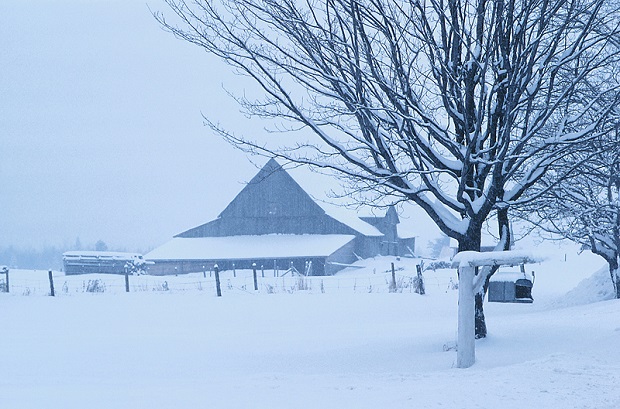 Best Winter Guess? Cold & Snowy