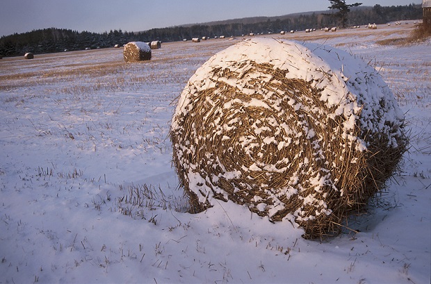 It was a Cold Weather Snap! It was a Cold Weather Snap!