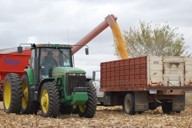 Meat Export Federation Study Shows $ 1.3 Billion Impact To Corn Farmers Meat Export Federation Study Shows $ 1.3 Billion Impact To Corn Farmers