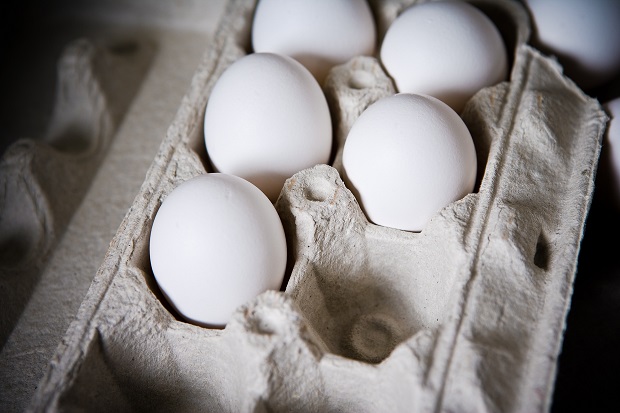 Iowa Poultry CEO And Executive Says Egg Producers Need CFAP Funding Aid