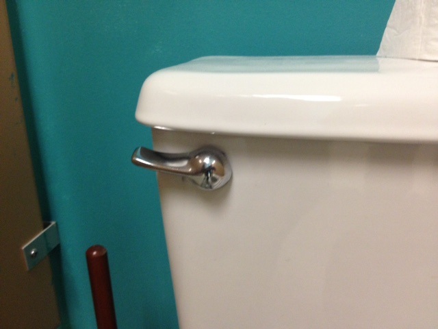 A Lesson in “Do Not Flush” A Lesson in “Do Not Flush”