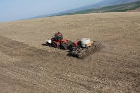 South Dakota Winter Wheat Planting On Track