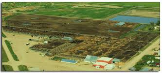 Reviewing Livestock Disaster Programs