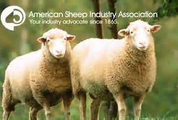 Unique Sheep Sale Coming to Spencer, Iowa