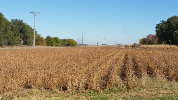 Tariffs Hitting South Dakota Producers