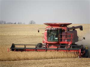 Northwest Iowa Soybean Harvest Results Showing Varied Yields