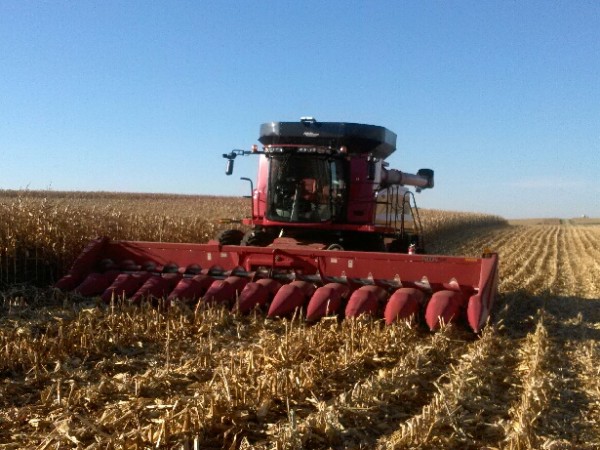 ISU Extension Specialist Says Drought Doesn’t Change Rules For Good Corn Silage