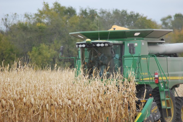 Bumper Corn Crop Good for Ethanol Industry and RFS Argument