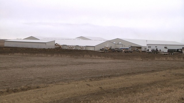 Subway Phasing Out All Antibiotic Use in Livestock