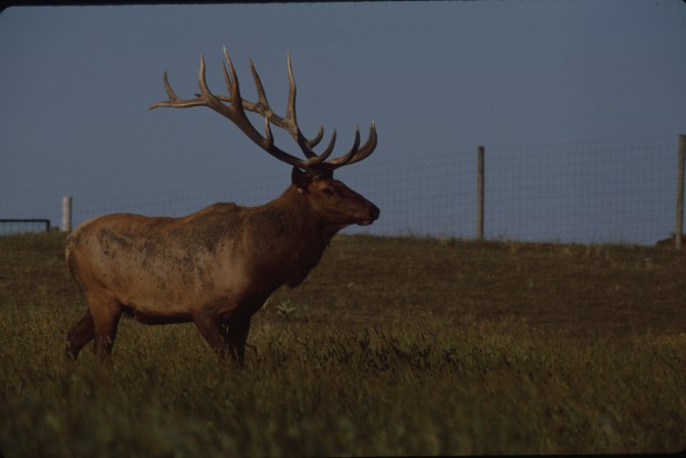 Iowa Hunting & Fishing License Fees to Go Up Iowa Hunting & Fishing License Fees to Go Up