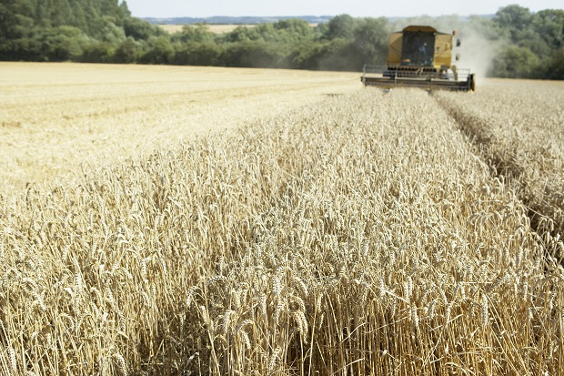 Better Than Expected Harvest Results