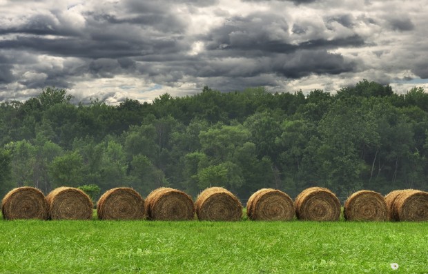 Farm Rescue Helping Get Donated Hay To Drought Areas