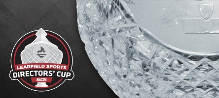 Augie Sports Teams Soaring