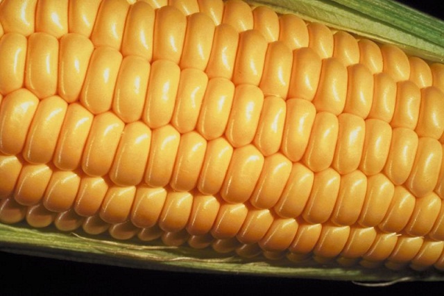 McDonalds Removes High Fructose Corn Syrup From Its Buns