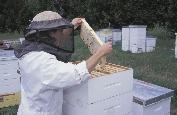 SD Beekeeper Part of Lawsuit Against EPA