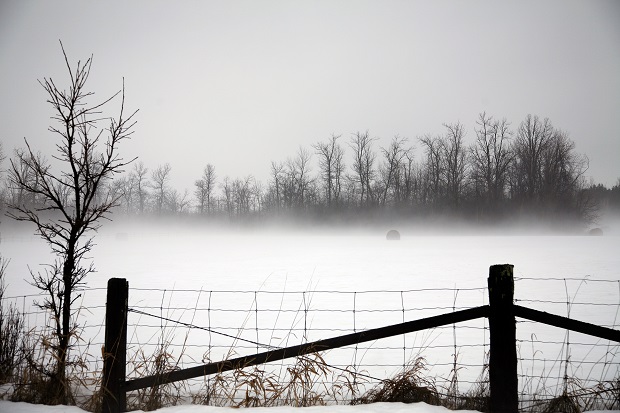 La Nina Moving in for the Winter