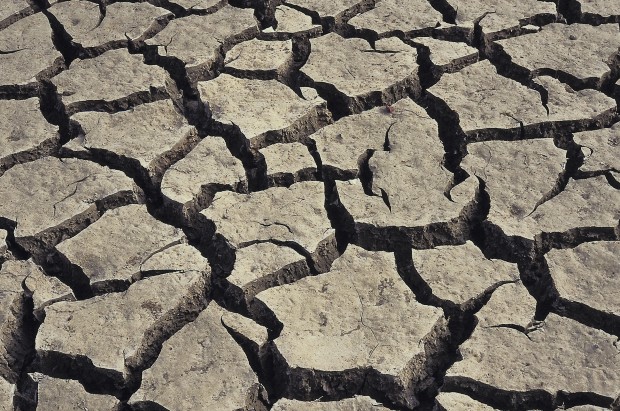 Hot And Dry Weather Takes Its Toll On Crops