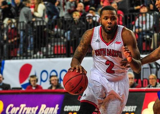 Coyotes Run Past York