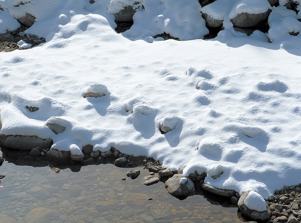 Temperatures Rising, Rivers to Follow