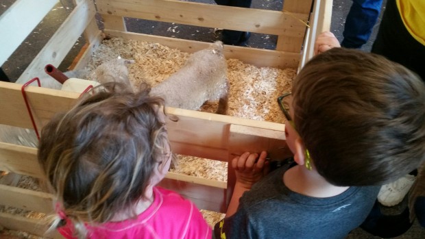 Ag Day at Pavilion a Hit Ag Day at Pavilion a Hit