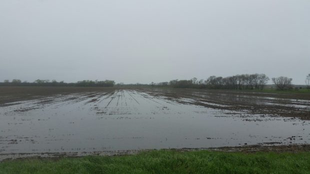 Crop Insurance and Planting Decisions Still Being Made