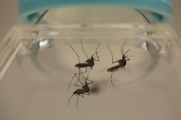 Travel Related Zika Cases Hit Nebraska