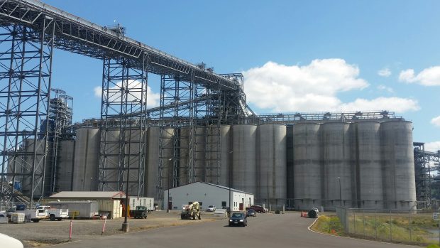 Board Directors Call SD Soybean See for Yourself Tour a Success