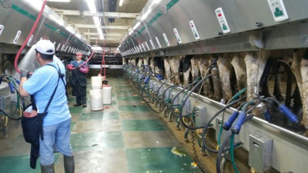 South Dakota Again Leads the Nation on Milk Production Growth
