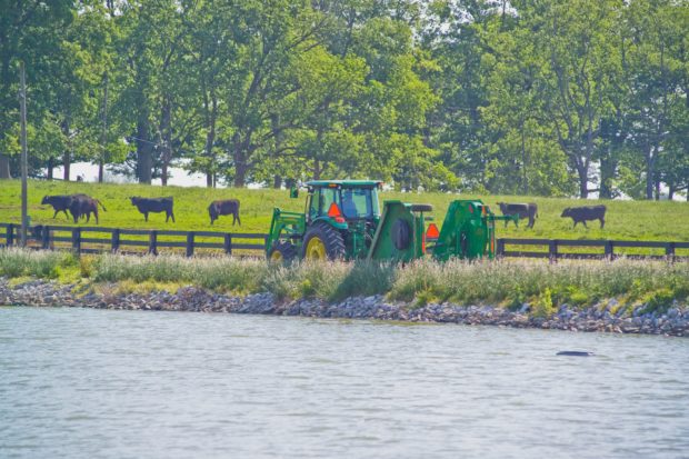 Leopold Conservation Award Nominations Being Taken