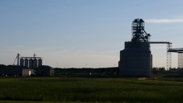 Fertilizer Supplies Ample for Spring, Domestic Industry Growing