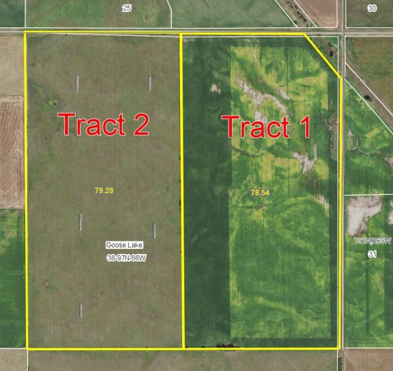 Land Values in the area