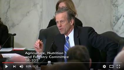 SD Senator John Thune; Pass the Budget, Then Tax Reform