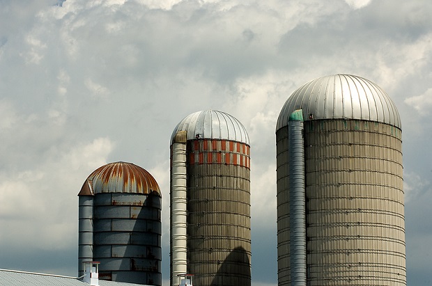 Diversifying Your Operation with Agritourism