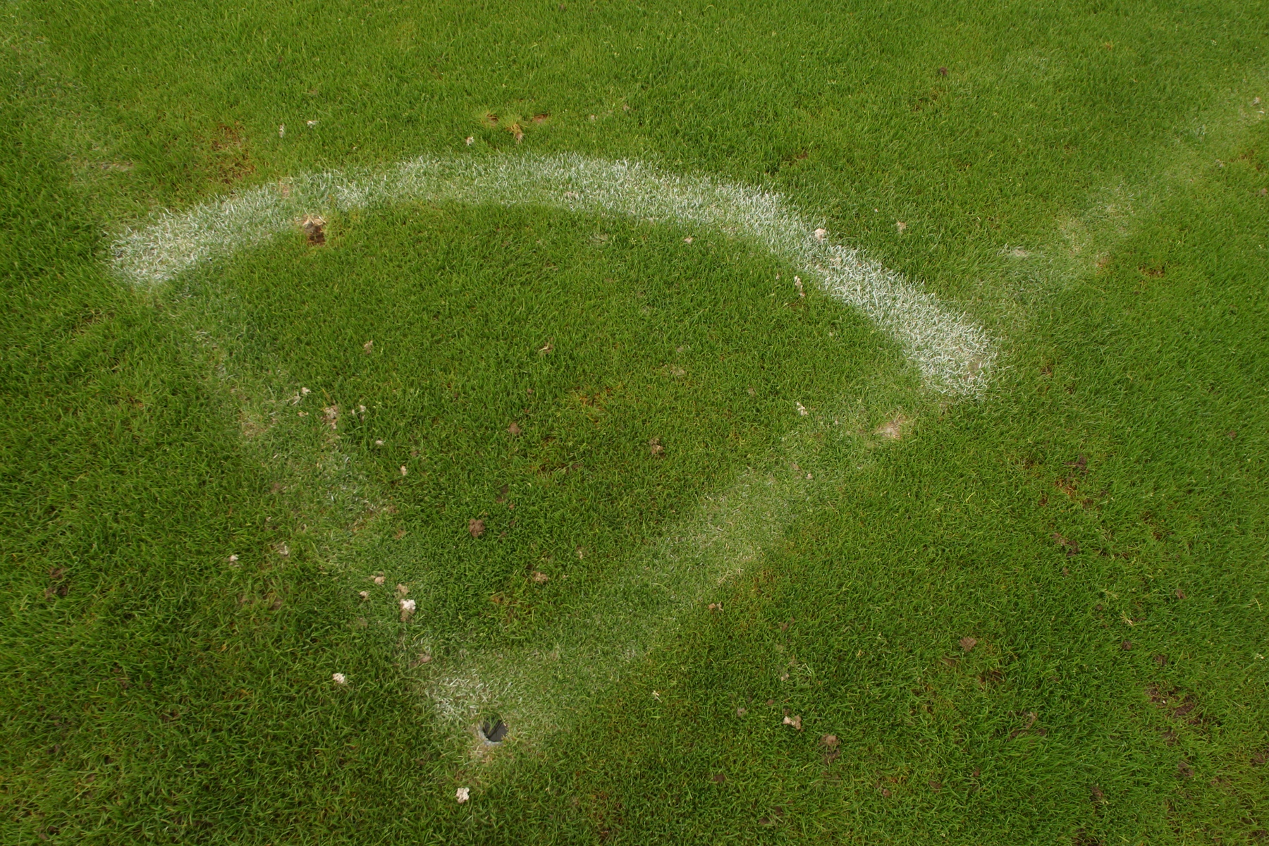 Amateur Titles Claimed