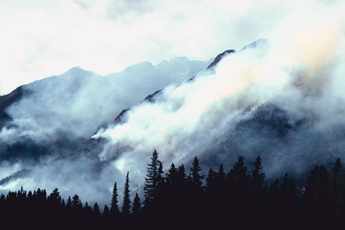 USDA Announces more investments USDA Announces more investments