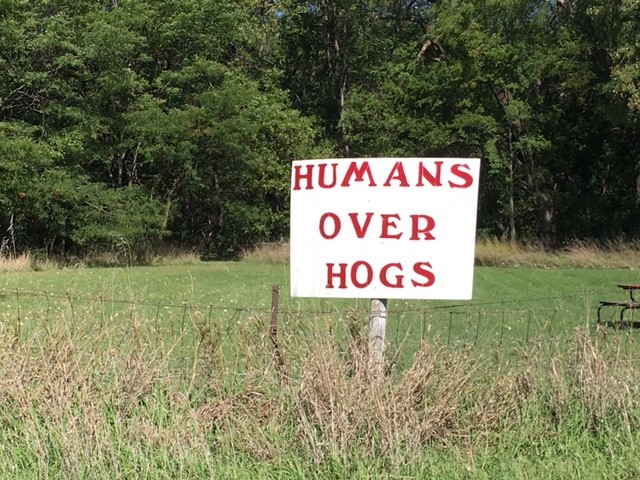 Yankton County Commission Sued Over Hog Barn Permits
