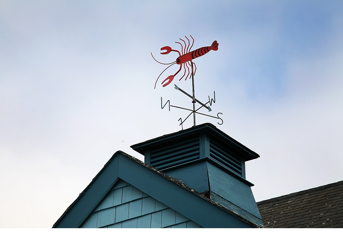 Watch Out for La Nina Watch Out for La Nina