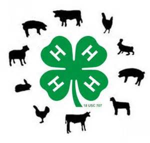Stronger Ties through 4-H