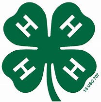 Nebraska 4-H Names 2025 Outstanding Youth Volunteers